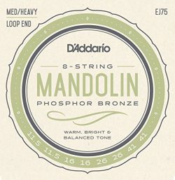 D’Addario EJ75 Phosphor Bronze Mandolin Strings, Medium/Heavy, 11.5-41