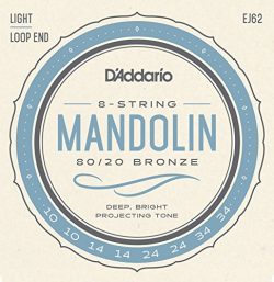 D’Addario EJ62 80/20 Bronze Mandolin Strings, Light, 10-34