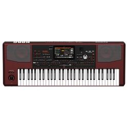 Korg Pa1000 61-Key Professional Arranger