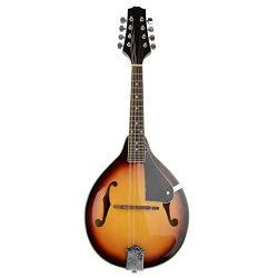 IRIN A-Style Elegant Maple Wood Mandolin Musical Instrument with Strings Set