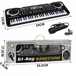 61 Key Keyboard Piano For Kids ,Children Portable Electric Organ ,Music Electronic Keyboards Pia ...