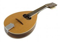 MANDOLIN – A Style – 8 String – Teardrop with Oval Soundhole 24.5″ Long  ...