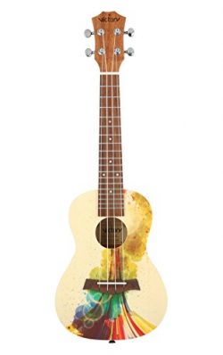 VIVICTORY Concert Ukulele 23 Inch Spruce Mahogany and Painting style with Beginner kit : Gig Bag ...