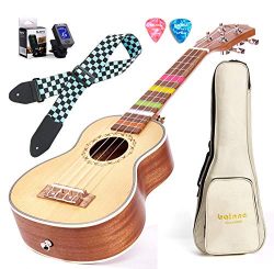 Balnna 21 Professional Ukulele Maple Traditional Learn to Play,Color String with Soft Case Gig B ...