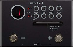 Roland Dual Input Trigger Module with WAV Manager Application (TM-1)